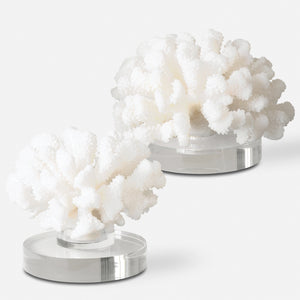 Hard Coral Sculptures, S/2