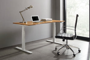 Ascent Hi-Lo Desk