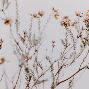 In The Details I By Annie Spratt