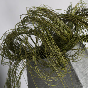Weeping Willow in LG Trapezoid Planter