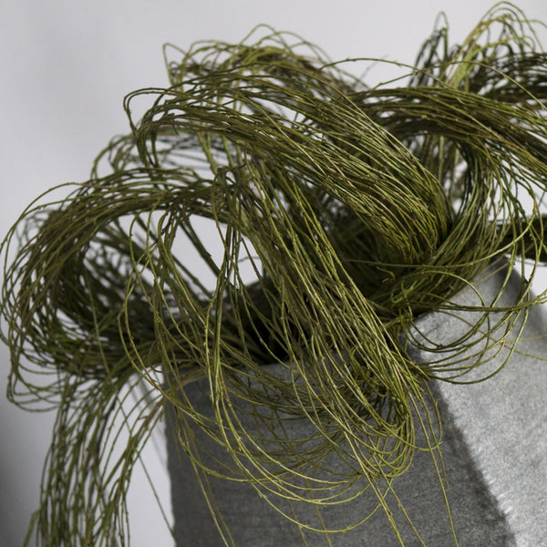 Weeping Willow in LG Trapezoid Planter