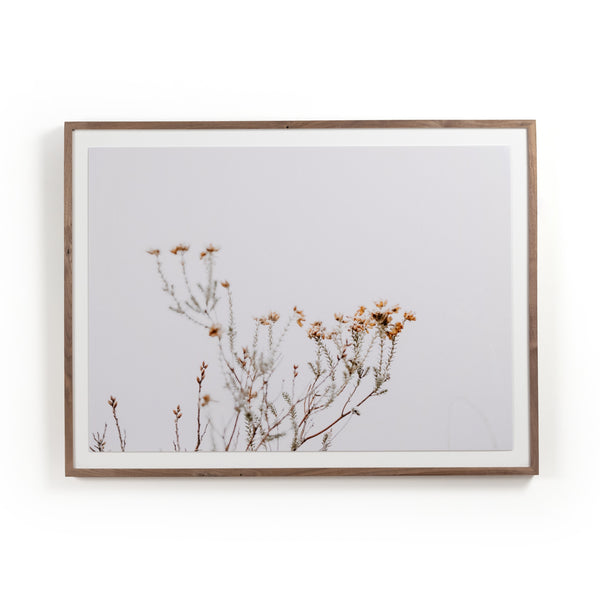 In The Details I By Annie Spratt