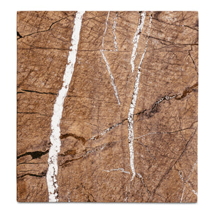 Moe's Blair Accent Table in Golden Forest Marble