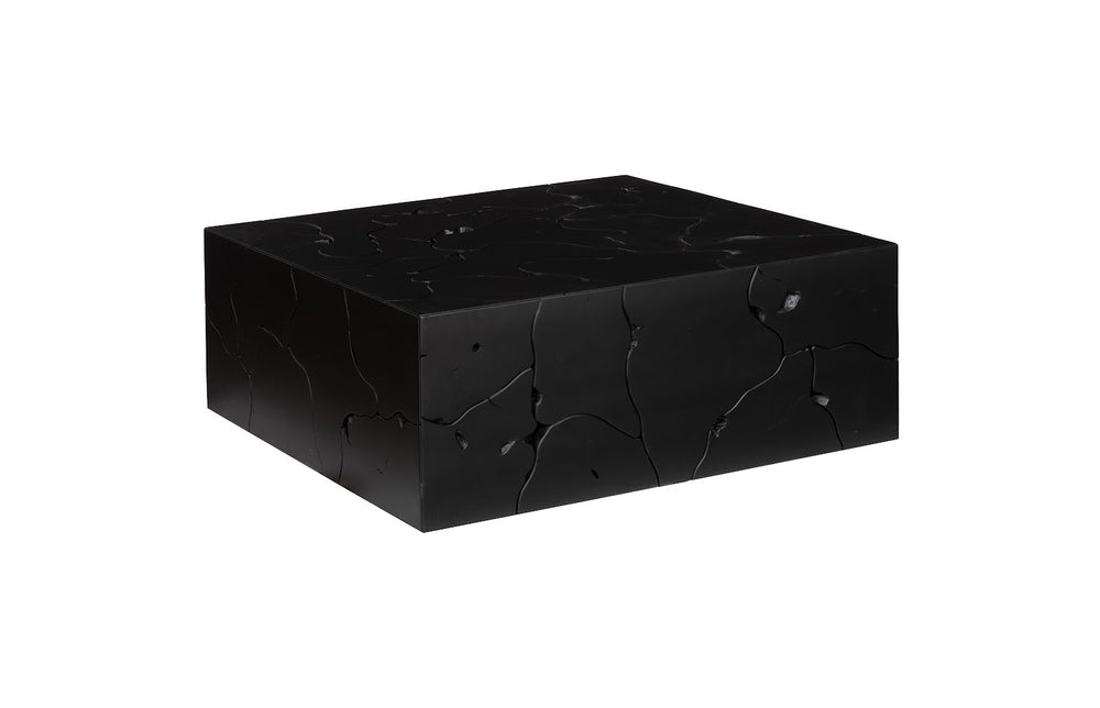 Teak Slice Coffee Table, Square, Black