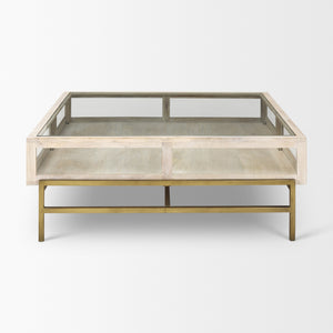 Arelius 42L x 42W x 15H White Wood W/ Gold Metal Base Square Display Coffee Table