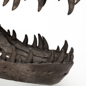 Lagrane 19L x 11W Brown Resin Tyrannosaurus T Rex Dinosaur Skull Replica