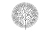 Wire Tree Wall Art, Large, Circle, Metal, Black