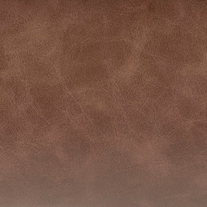 Raoul Counter Stool In Antique Cigar Brown