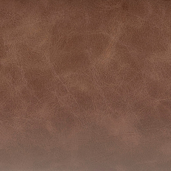 Raoul Counter Stool In Antique Cigar Brown