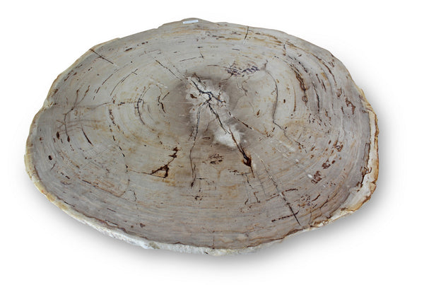 Eliza Coffee Table