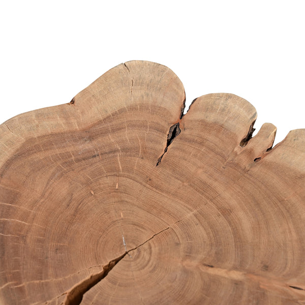 Brooks Teak Stump