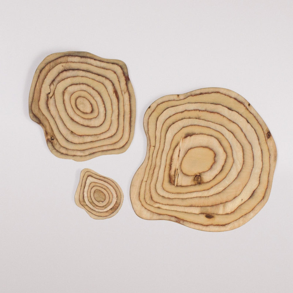 Contour Freeform Wall Art