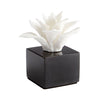 Small Calendine Sculpture In White
