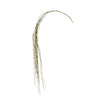 Weeping Willow Stem 64"