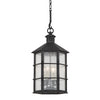 Lake County Lantern
