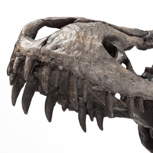Jurassic 6L x 10W Brown Resin Tyrannosaurus Skull Replica