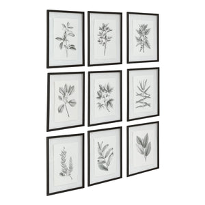 Farmhouse Florals Framed Prints, S/9