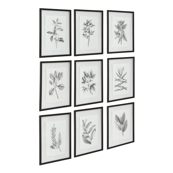 Farmhouse Florals Framed Prints, S/9