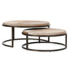 Hayword Nesting Coffee Tables Set of 2 with Hide Tops