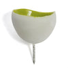 Seed Wall Play, Outdoor Lime