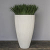 Liriope Grass in Extra Large Linea Planter
