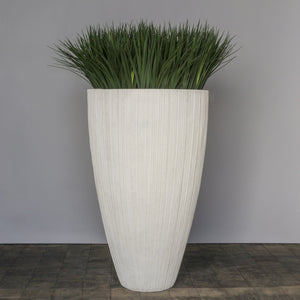 Liriope Grass in Extra Large Linea Planter