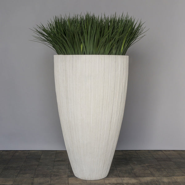 Liriope Grass in Extra Large Linea Planter