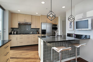Euclid 1 Light Mini Pendant in Chrome + Matte Black Finish
