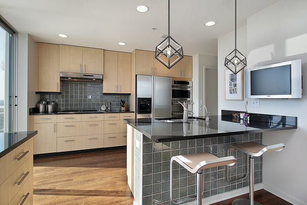 Euclid 1 Light Mini Pendant in Chrome + Matte Black Finish