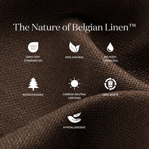 Daphne Slipcover Queen Bed - Brussels Coffee