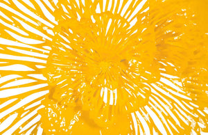 Flower Wall Art, Dandelion, MD
