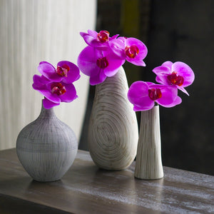 Contour Cone Vase with Fuchsia Phalaenopsis Orchid