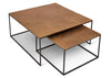 Mudra Coffee Table (Set of 2)