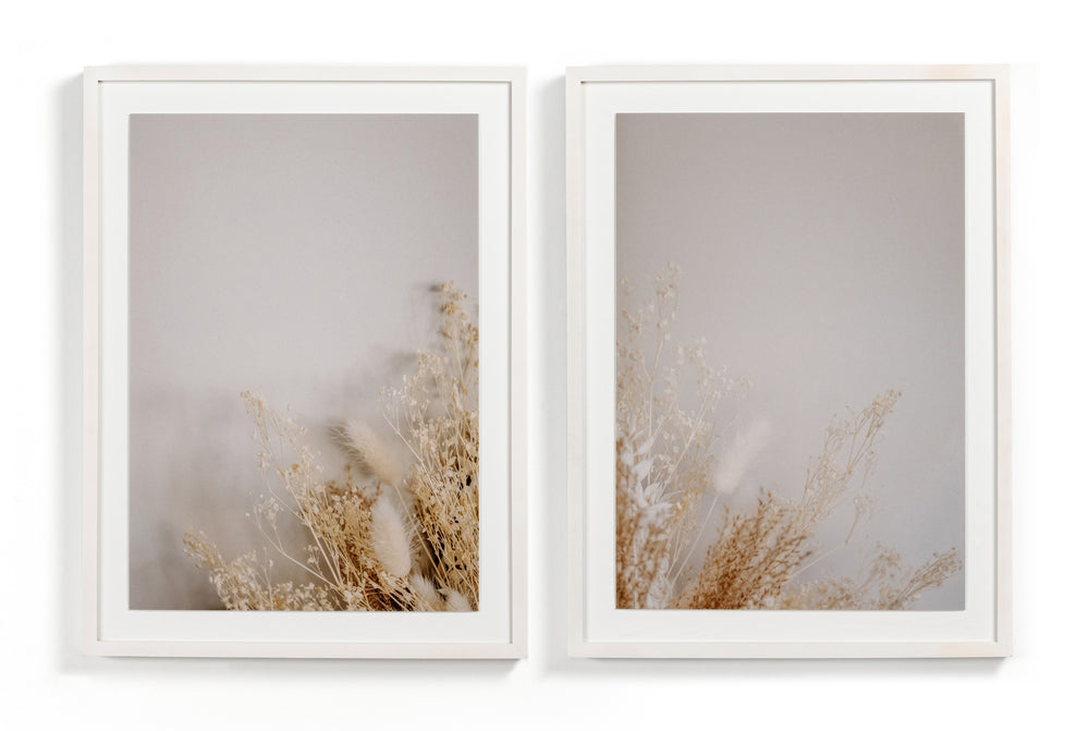 Dried Floral Dyptich By Annie Spratt