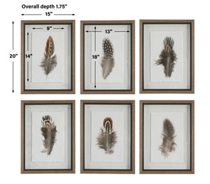Birds Of A Feather Framed Prints, S/6