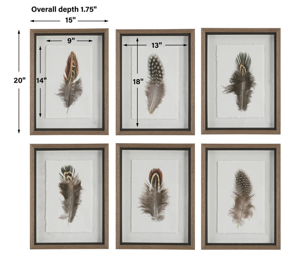 Birds Of A Feather Framed Prints, S/6