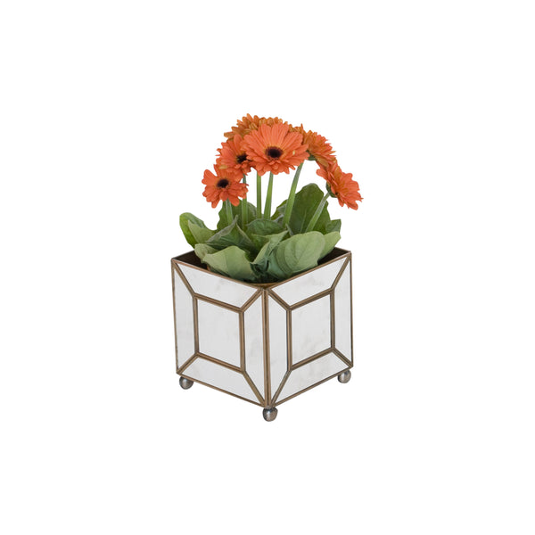 ANT MIR CLASSIC PLANTER