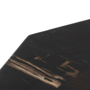 Shep End Table In Polished Petrified Wood