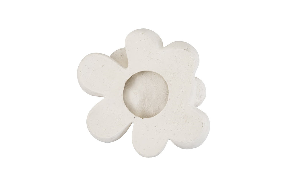 Oviferum Succulent Wall Art , White Stone