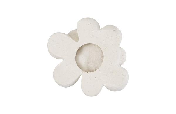 Oviferum Succulent Wall Art , White Stone