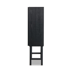 Hayward Cabinet In Black Oak-Black Aluminum-Black Iron