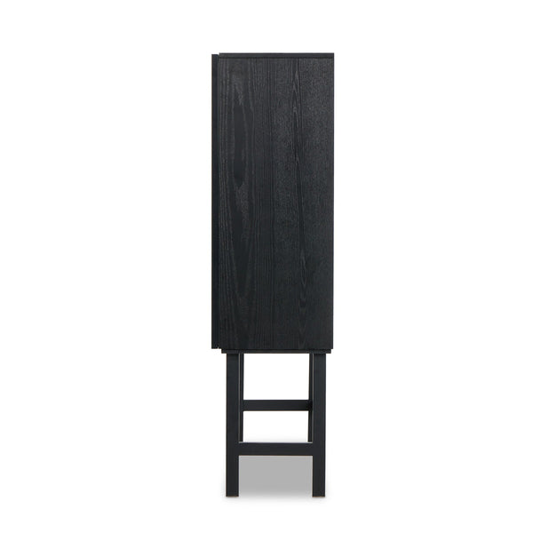 Hayward Cabinet In Black Oak-Black Aluminum-Black Iron