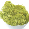 Reindeer Moss, Light Green