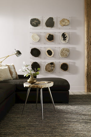 Floating Petrified Slice Wall Art, Assorted