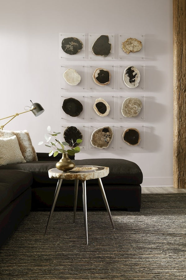 Floating Petrified Slice Wall Art, Assorted