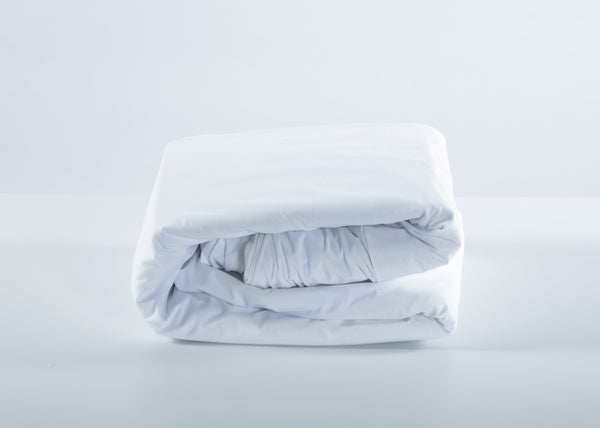 Aller Bug Mattress Encasement Twin XL
