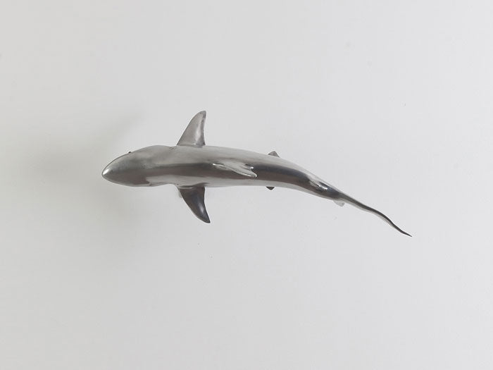 Whaler Shark, Silver Leaf