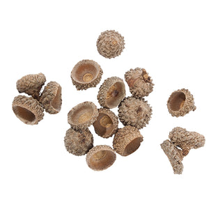 Acorn Caps, +/- 120 pieces