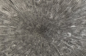 Lotus Wall Art, Silver/Black, Large