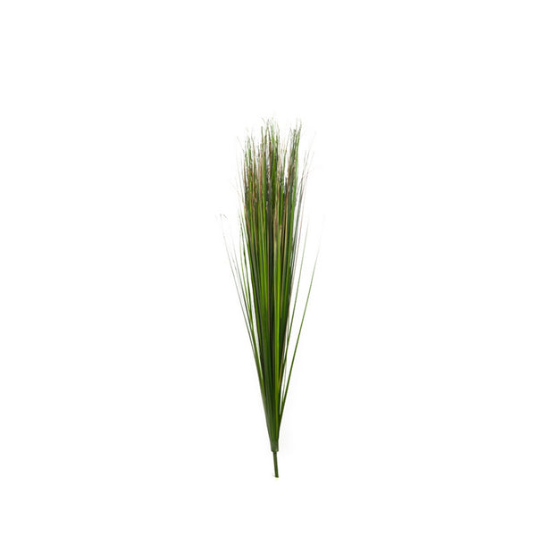 Onion Grass Bush, green